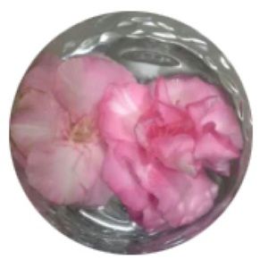 Meet your Posher, Khrissy